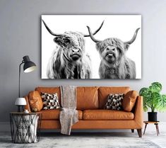 two long haired cows standing next to each other on a white wall in a living room