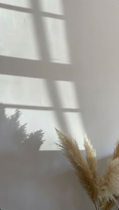 a vase with some dry grass in it and the shadow of a wall behind it