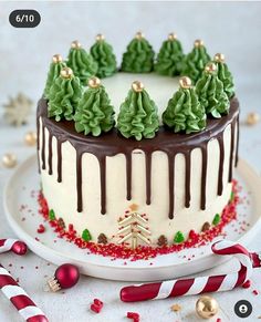 a decorated christmas cake on a plate with candy canes