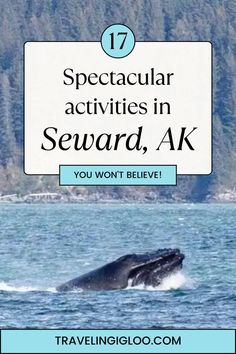 things to do in seward, alaska