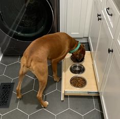 a dog eating food out of a dish in front of an open dryer door