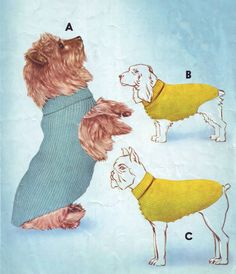 a dog in a sweater is standing next to another dog wearing a banana costume and looking up at the sky