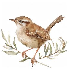 a watercolor painting of a bird sitting on a branch