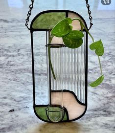 a glass hanging planter with a potted plant in it on a marble table