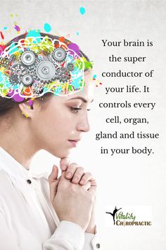 Facts About The Brain, English Teacher Resources, Low Back Pain Relief, Fact Or Fiction, Doctor Of Chiropractic, Teachers Resources, Brain Facts, Whole Brain Teaching, English Teachers