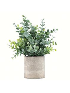 a potted plant with green leaves in it