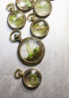 an assortment of antique pocket watches with moss growing in them