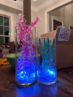 two vases with plants in them sitting on a table