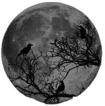 two birds sitting on branches in front of the moon