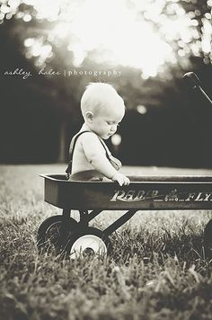 a baby sitting in a wagon on the grass