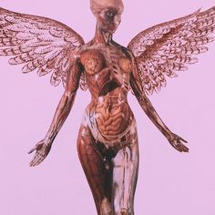 an image of a woman with wings on her body and muscles in the shape of a human