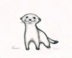 a pencil drawing of a ferret sitting on its hind legs and looking at the camera