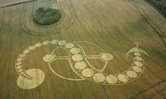 an aerial view of a field with trees and circles drawn on the ground in it