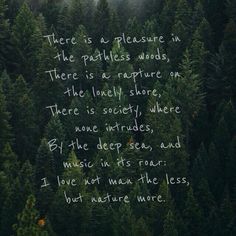 there is a poem written in the middle of a forest with trees on both sides