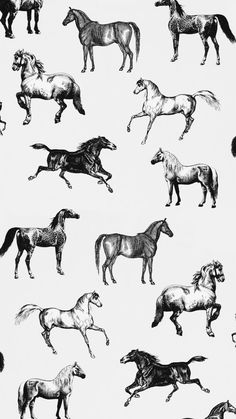 black and white drawing of horses running in different directions