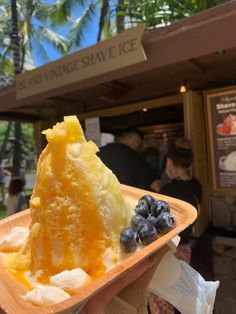 a person holding a plate with ice cream and blueberries on it in front of a store