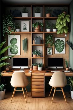 an office with two computers and plants on the shelves