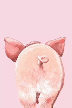 a pig with pink ears and tail standing in front of a pink background