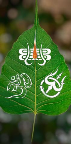 a green leaf with two white designs on it's side and an orange center in the middle