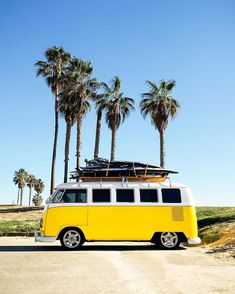 a yellow and white vw bus parked in front of palm trees