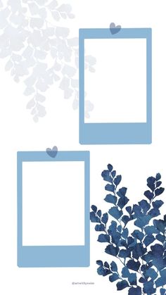 two blue frames are next to a plant with leaves on it and one is empty