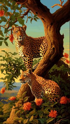 two large cheetah standing next to each other on a tree