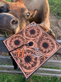 a brown cow standing next to a wooden fence with a graduation cap on it's head