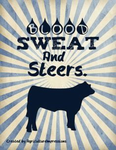 a cow with the words sweat and sleepers on it