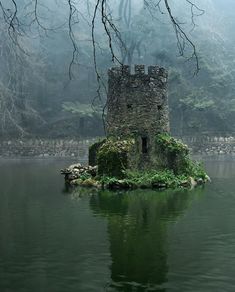 an old castle sitting on top of a lake in the middle of a foggy forest