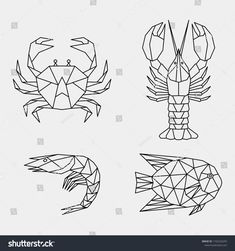 four different types of lobsters with low polygonal shapes and lines on white background