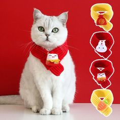 a white cat with green eyes wearing a red knitted scarf and matching headbands