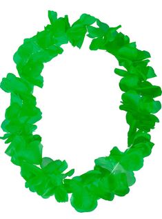 a wreath made out of green leaves on a white background