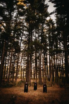 three people standing in the middle of a forest