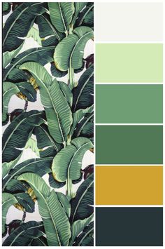 green and yellow color scheme with tropical leaves