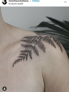 a black fern leaf tattoo on the chest