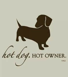 a dog that is standing up with the words hot dog, hot owner on it