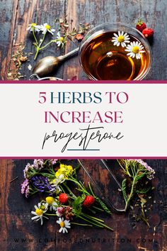 There are herbs that can help to support healthy progesterone levels. We explore 5 of these herbs to consider if you are struggling with low progesterone levels! #progesterone #lowprogesterone #lowprogesteronetreatment #lowprogesteronesymptoms #lowprogesteroneremedies #lowprogesteronepregnancy #fertility Herbs To Increase Estrogen, Herbs To Increase Progesterone, Low Progesterone Pregnancy, Low Progesterone Symptoms, Cramp Relief, Period Tips