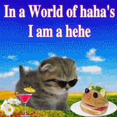 a cat wearing sunglasses is looking at a plate with food on it and the caption reads, in a world of haha's i am hehe