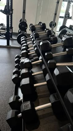 a row of dumbs in a gym with mirrors and other exercise equipment behind them