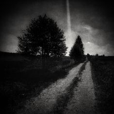 a black and white photo of a person walking down a dirt road with trees on either side