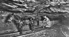 an old black and white photo of two horses pulling a cart in a mine area