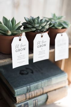 three small succulents with tags on them are sitting next to some books