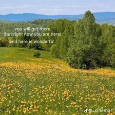 a field full of yellow flowers with a quote on the side that says, you will get there but right now you are here and here is wonderful