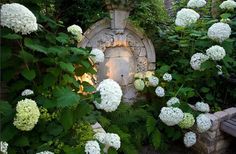 there is a small garden with white flowers