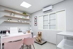 a dog sitting on top of a desk next to two pink chairs