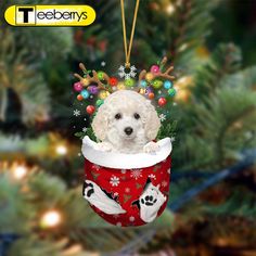 a white dog wearing a christmas stocking ornament hanging from a christmas tree