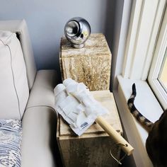 a cat standing next to a couch near a window with a blow dryer on it