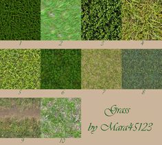 different types of grass are shown in this graphic style, including green and brown colors