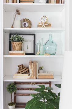 a bookshelf filled with lots of books and plants