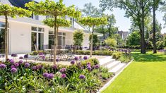 a garden with purple flowers and trees in front of a white house on a sunny day